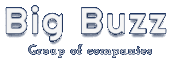 Big Buzz Group of companies
